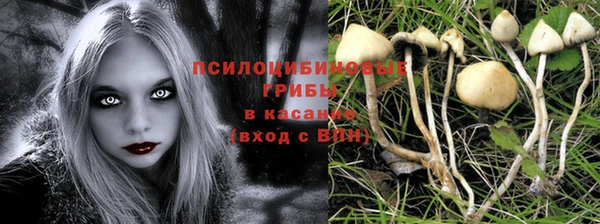 2c-b Абинск