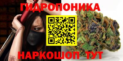spice Кунгур