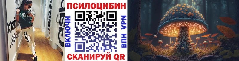 где купить   Дербент  Галлюциногенные грибы MAGIC MUSHROOMS 